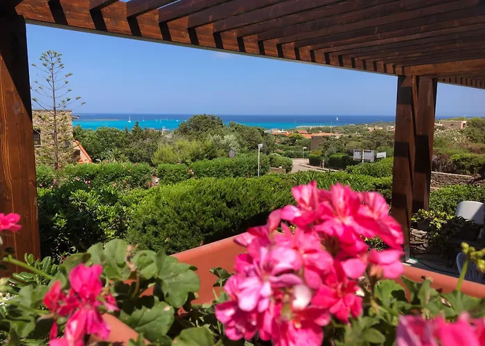 Conchiglia Di Stintino Vista Mare