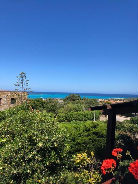 Apartment Conchiglia Di Vista Mare
