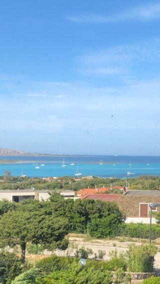 Conchiglia Di Vista Mare Apartment Stintino
