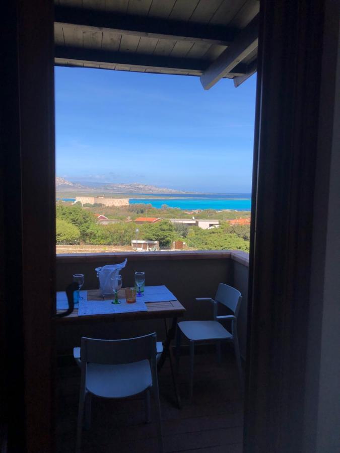 Conchiglia Di Vista Mare