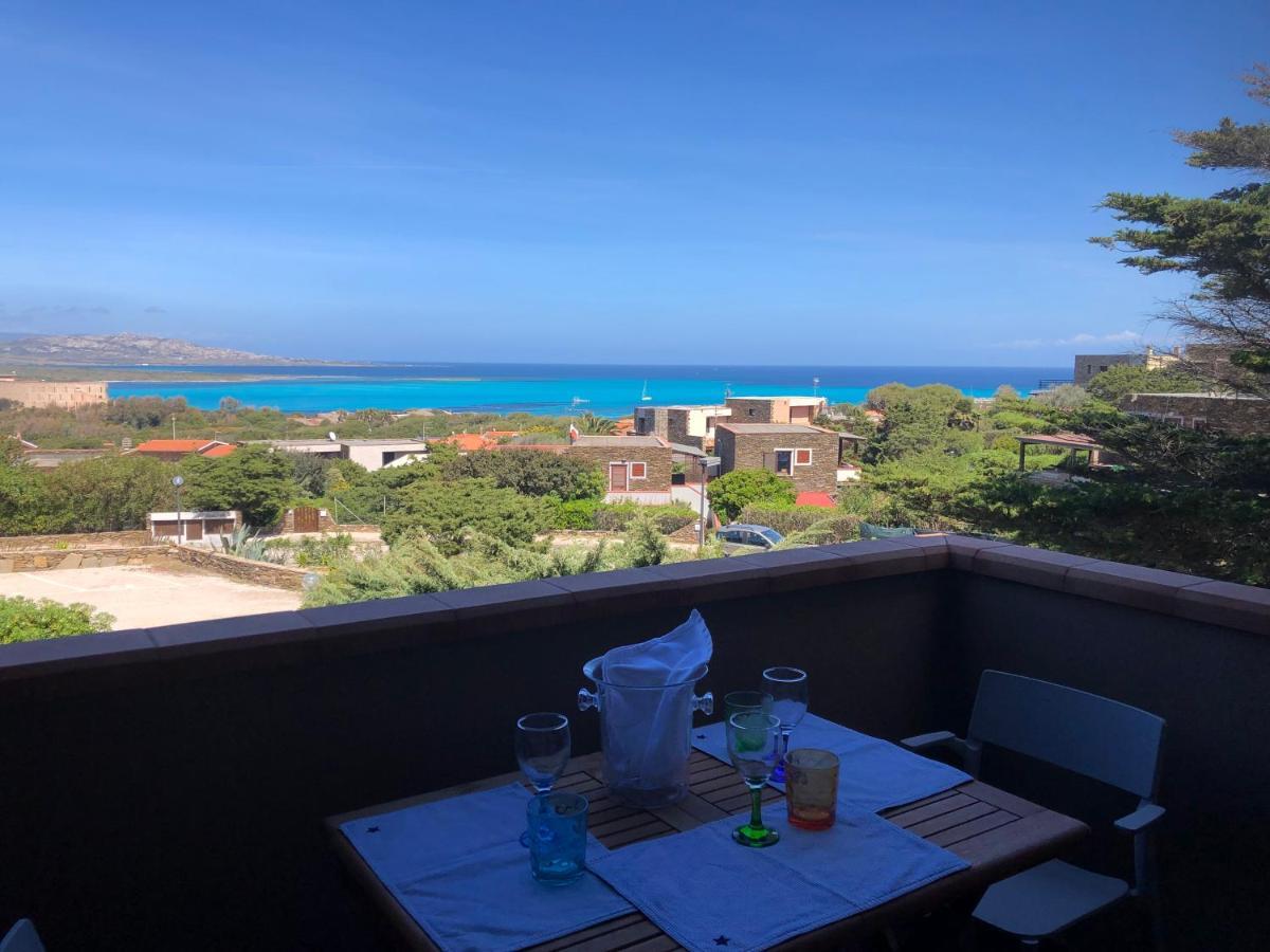 Conchiglia Di Vista Mare