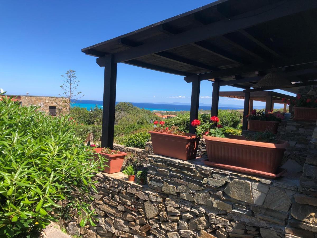 Apartment Conchiglia Di Vista Mare *