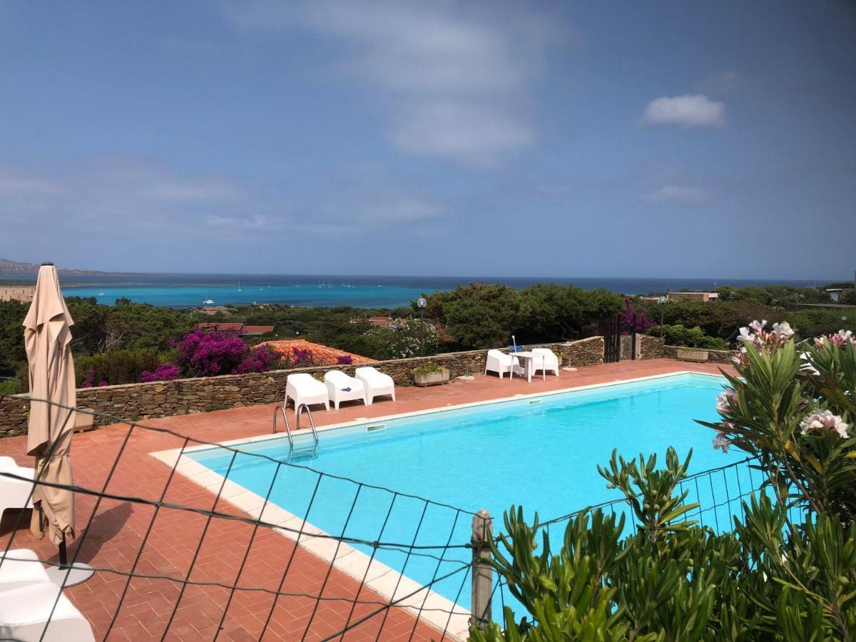 Conchiglia Di Vista Mare *