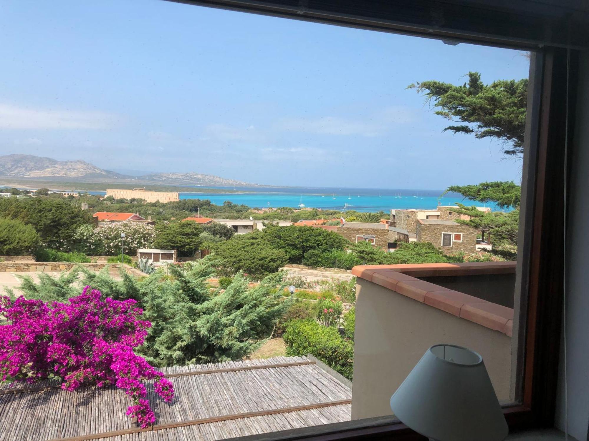 Conchiglia Di Vista Mare Stintino